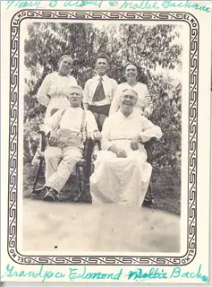 small_bachmans 2.webp